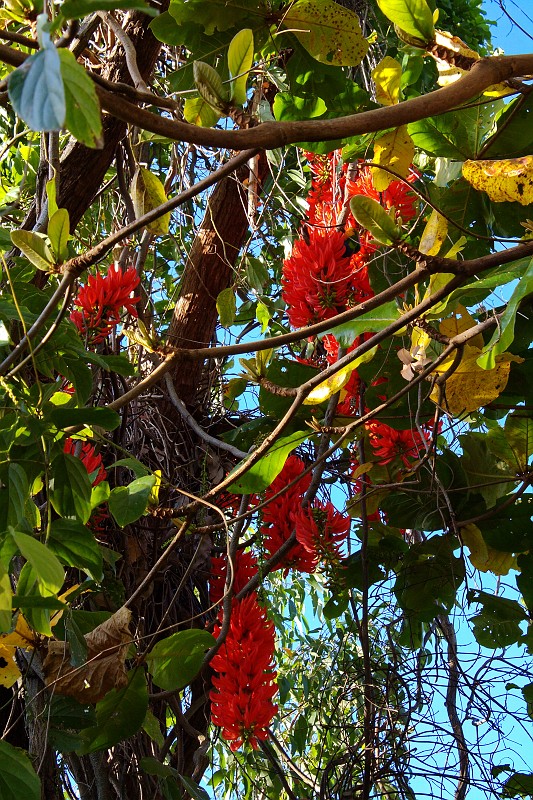 2009-11-06 22-01-54_2.jpg - Der Brand breitet sich aus...